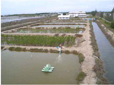 Overview of recycling-oriented aquaculture system of Samut Songkhram.