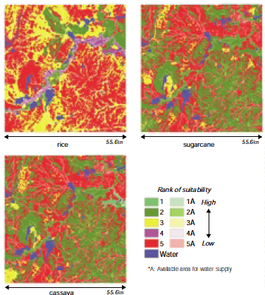 Fig. 1. Land suitability for rice, sugarcane and cassava, evaluated by soil properties and water resource availability.