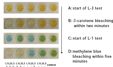 Fig. 1. Visual detection of individual lipoxygenase phenotypes of soybean seeds derived from crosses between triple mutant lacking all isozymes and normal type.