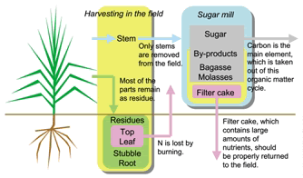 Fig. 2. Organic matter cycle of sugarcane production.