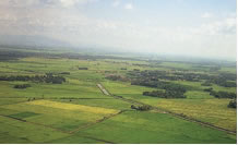 Photo 1. Aerial view of the Muda Irrigation Scheme.