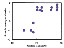Fig. 1. Correlation between amylose content of rice materials and rice noodle quality.