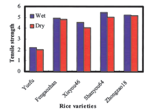 Fig. 3. Effects of milling methods on rice noodle gel strength.