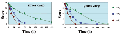Fig. 1. Changes in sensory evaluation scores of silver carp (left) and grass carp (right) during storage under different temperatures.