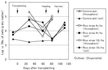 Fig. 2. Fluctuations in population levels of methanotrophic bacteria in rice rhizospheres and soil with and without rice straw application at 4 and 10 t/ha in a subtropical paddy field.