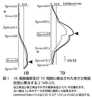 図1