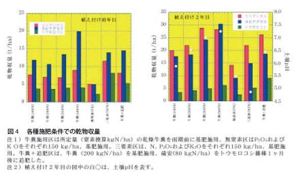 図4　各種施肥条件での乾物収量