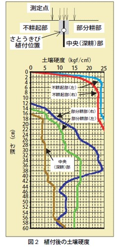 図2　植付後の土壌硬度