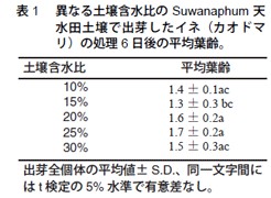 表1