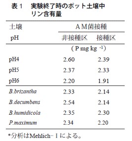 表1　実験終了時のポット土壌中リン含有量