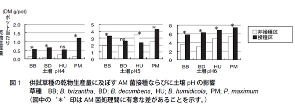 図1　供試草種の乾物生産量に及ぼすAM菌摂取ならびに土壌pHの影響