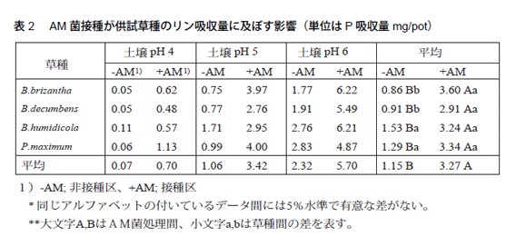 表2 　AM菌接種が供試草種のリン吸収量に及ぼす影響