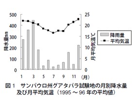 図1　サンパウロ州グアタパラ試験地の月別降水量及び月平均気温