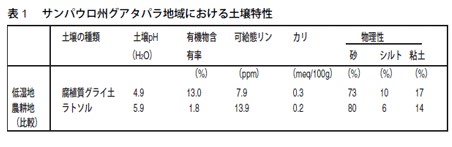 表1　サンパウロ州グアタパラ地域における土壌特性