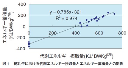 図1　乾乳牛における代謝エネルギー摂取量とエネルギー蓄積量との関係