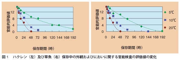図1　ハクレン（左）及び草魚（右）保存中の外観およびにおいに関する官能検査の評価値の変化