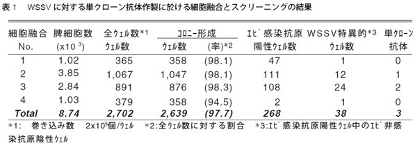 表1　WSSVに対する単クローン抗体作製の於ける細胞融合とスクリーニングの結果