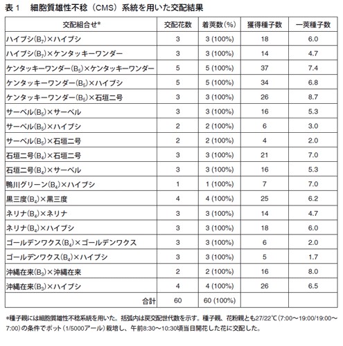 表1　細胞質雄性不稔（CMS）系統を用いた交配結果