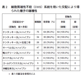 表2　細胞質雄性不稔（CMS）系統を用いた交配により得られた種子の雑種性