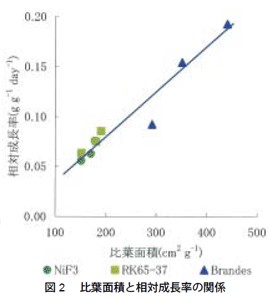 図2　比葉面積と相対成長率の関係