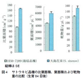 図4　サトウキビ品種の比葉面積、葉面積および乾物重の比較（生育84日後）