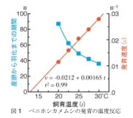 図1　ベニホシカメムシの発育の温度反応