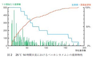 図2　25℃ 14時間日長におけるベニホシカメムシの産卵特性