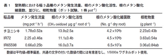 表1　登熟期における稲3品種のメタン発生流量、根のメタン酸化活性、根のメタン酸化細菌数、並びに根乾物重
