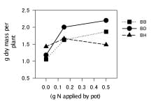 Fig. 1. Dry mass in plants under different levels of N.