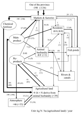 Fig. 1. Predicted nitrogen flow in Cantho Province (2010).