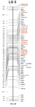 Fig. 1. Soybean molecular linkage map of linkage group 5.