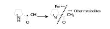 Fig. 2. Possible pathway for 2-acetyl-l-pyrroline formation from proline.