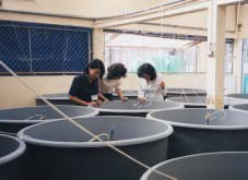 Fig. 2. Cantho University’s mini-hatchery.