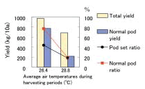 Fig. 1. Relationship between average air temperatures, yield and pod set ratio