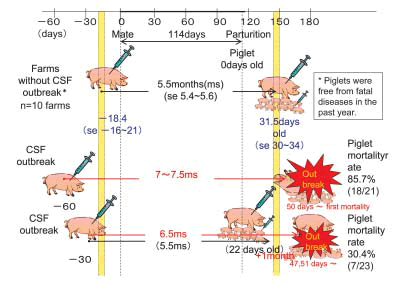 Fig. 1. CSF outbreaks and the vaccine practice (N vaccine, HCMC, Vietnam).