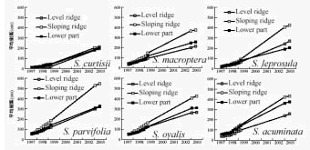 Fig. 1. Growth data for the six Shorea species planted in Semangkok, Malaysia.