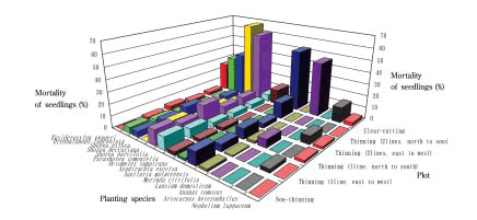 Fig. 1. Seedling mortality rates in thinning, non-thinning and cleared forest plots, eight months after planting.