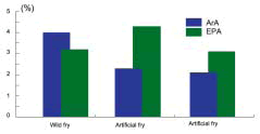 Fig. 3. ArA and EPA levels (%) of wild-caught and hatchery-produced mangrove red snapper fry.