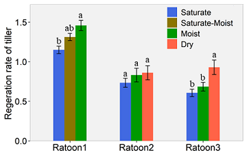 Fig. 3. Effect of soil moisture regime on the regeneration rate of ratoon crops at 3 weeks after harvesting