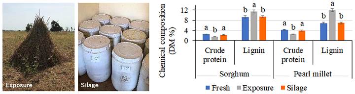 Fig. 1. Storage of crop stovers during exposure and ensiling (left) and changes in their chemical composition (right)