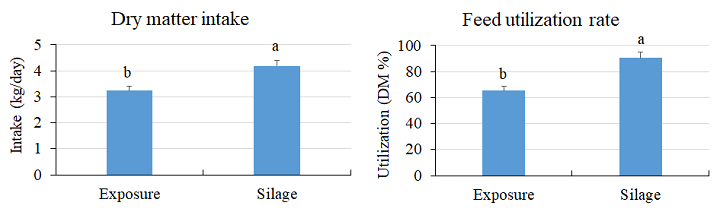 Fig. 3. Dry matter intake and feed utilization rate of beef cattle due to differences in storage method of sorghum stover