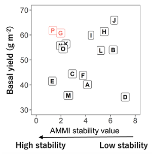 Fig. 3. Yield stability of the 16 varieties under the environments defined by the soil types and annual precipitations