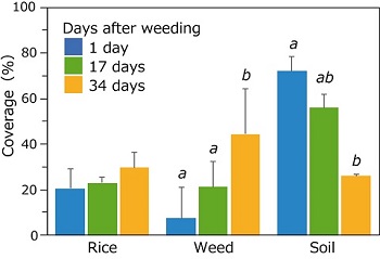 Fig. 3. Comparison of rice, weed, and soil coverages