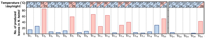 Fig. 3. Relationship between temperature and leaf production in the growth chamber