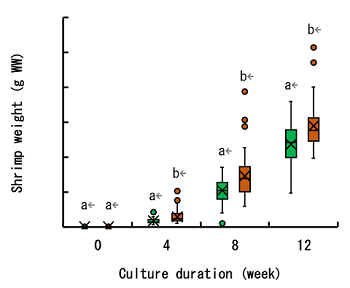 Fig. 3. Changes in wet weight of giant tiger prawn under control (green) and treatment (orange) conditions