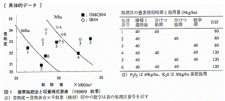 図1 窒素施肥法と収量構成要素 (1996/9 乾季)