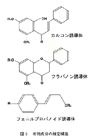 図3 有効成分の推定構造