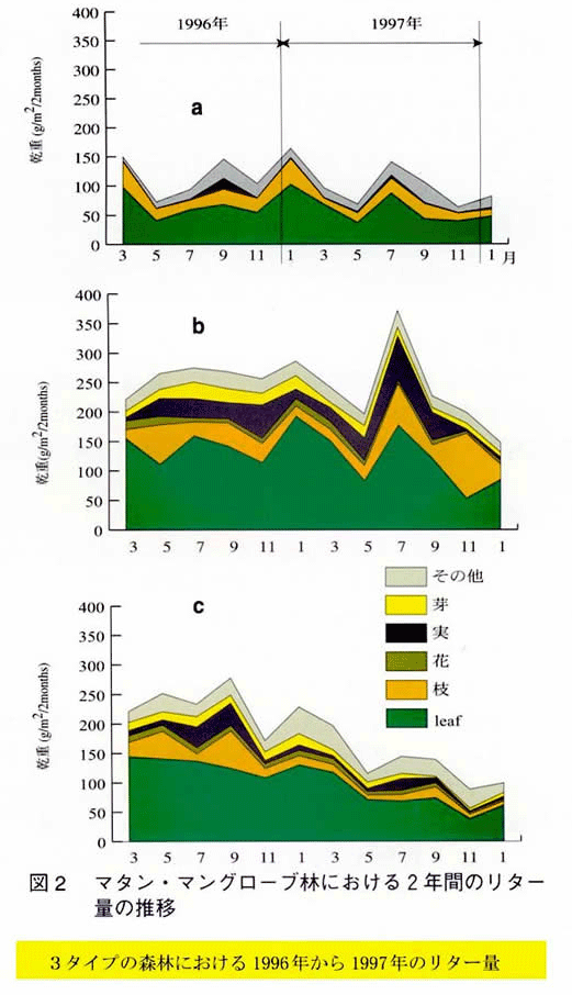 図2 マタン・マングローブ林における2年間のリター量の推移