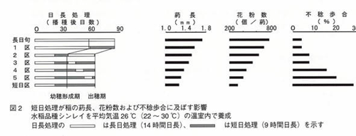 図2 短日処理が稲の葯長、花粉数および不稔歩合に及ぼす影響