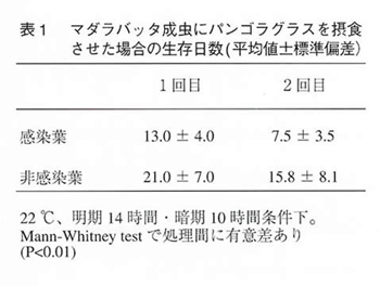 表1 マダラバッタ成虫にパンゴラグラスを摂食させた場合の生存日数